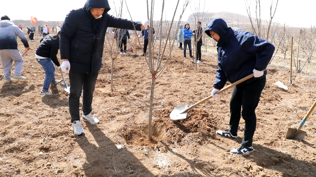 1684736545210141.png 4e1e4fa83d5a4aee9dcf5f6fa81941f4_640_wx_fmt=png&wxfrom=5&wx_lazy=1&wx_co=1.png